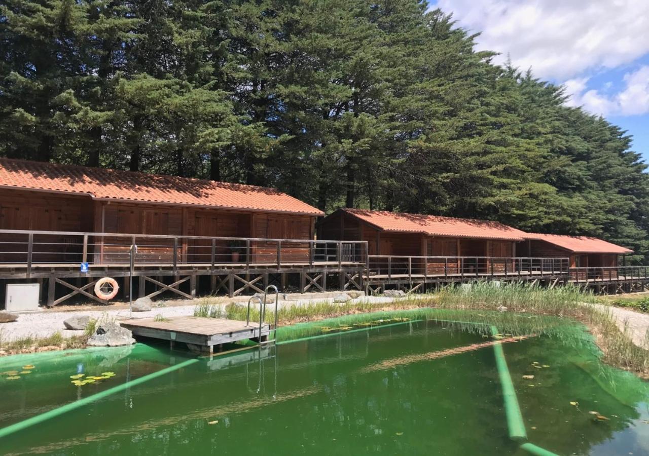 Parque Biologico De Vinhais Bagian luar foto