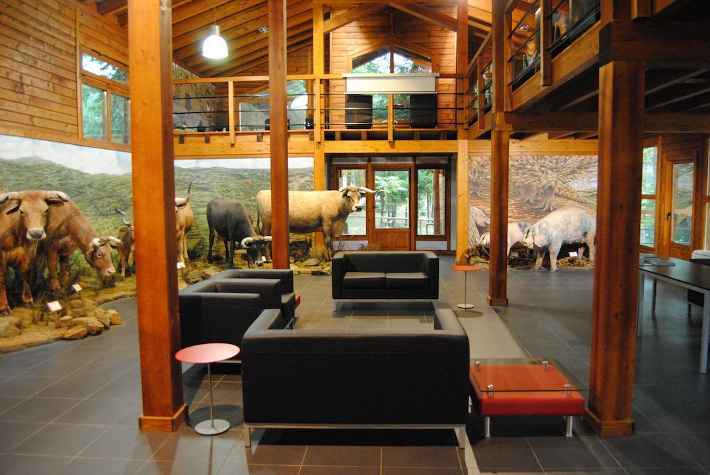 Parque Biologico De Vinhais Bagian luar foto